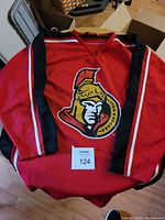 Front view of red Ottawa Senators hockey jersey with team logo and sleeve stripes