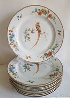 Set of eight porcelain dinner plates stacked with one plate displayed upright showing golden pheasant with floral design and gold-trimmed rim.