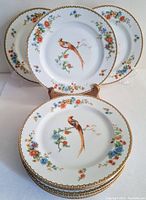 Six porcelain salad plates arranged with three plates standing and three laid flat, showing golden pheasant and floral pattern with gold rim detail.