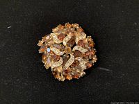 Top view of large vintage Weiss brooch showing amber and brown faceted rhinestones decorated with clear rhinestone leaf-like swirls.