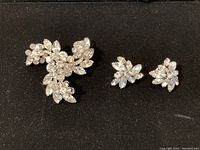 Full view of large brooch with clear rhinestones arranged in a floral and leaf motif and a pair of matching earrings with cluster rhinestone design.