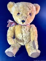 Front view of vintage golden mohair teddy bear with bow and jointed limbs