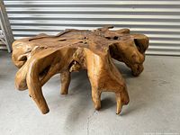 Angled front-side view showing organic root formation and top surface