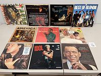 Top view of vinyl album covers featuring Ziggy Marley, Super Soul-Dees Vol. 2, Melachrino Strings, Blondie, America, Harry Belafonte, Mick Jagger, David Gilmour, Billy Idol, and Frank Sinatra.