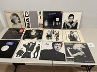 Photo of 12 vinyl album covers arranged on a table showing front covers of all albums.