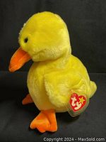 Side profile of yellow Ty Beanie Baby 'Quakers' duck with orange feet and beak, showing clear plastic tag protector on the red Ty heart-shaped tag.