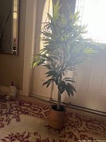 Photo showing the full height of the faux tree with green leaves in a woven wicker basket at door entrance.