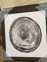 Framed grayscale wood ring cross-section art print, 17x17 inches, new in package with protective corners