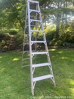 Full view of 8 foot aluminum step ladder standing on grass outdoors, shows overall condition and structure.