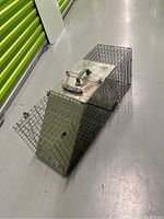 Side perspective showing the wire mesh trap with drop-door open and carrying handle on top