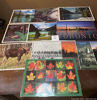 Overview of 10 placemats laid out showing images of nature, cityscape, wildlife and seasonal leaves