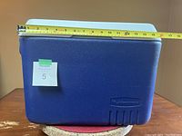 Blue Rubbermaid cooler with measuring tape showing length about 15.5 inches