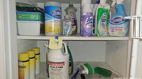 Shelf with various cleaning supplies including Clorox wipes, hand sanitizer, Lysol spray, Clorox all-purpose cleaner, and brushes.
