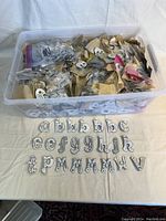Clear plastic storage bin filled with individually bagged vintage initial pins and alphabet letters arranged on a cloth surface.