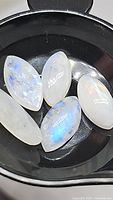 Five marquis-shaped rainbow moonstone cabochon gemstones in a black container, showing blue flash and inclusions.