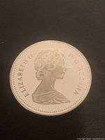 Obverse of the 1981 Canadian one dollar silver coin, showing the profile of Queen Elizabeth II with the inscription "ELIZABETH II D.G. REGINA".