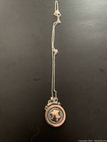 Full view of the pendant necklace, showing the chain and round pendant with shield design