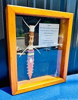 Frontal close-up photo of the framed Kiribati ceremonial fighting tool showing the blade and handle.