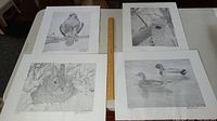 Four wildlife prints laid out side by side with a ruler for scale.