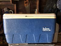 Blue and white Igloo cooler with 36 qt capacity and 'Legend 36' branding on the front, closed lid.
