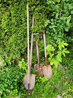 Four garden tools outdoors leaning against green foliage: one hoe with a blue blade and three round mouth shovels with wooden handles and rusted blades.