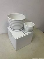 Two white ceramic plant pots, one larger and one smaller, displayed on a white box, showing ribbed horizontal design