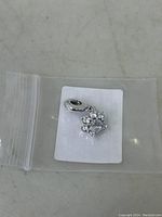 Full view of the Pandora pet charm in a clear plastic bag showing the paw with heart design and hanging bail