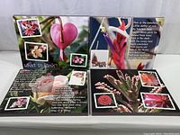 Photo showing two canvas prints side by side, featuring pink flowers and poetic text about the color pink