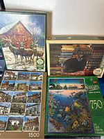 Four boxed puzzles showing various scenes including wildlife, houses, underwater life, and a black cat on books.