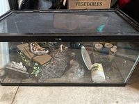 Front view of the reptile cage with accessories inside.