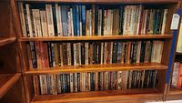 Books organized on two wooden shelves, variety of genres and authors seen on spines