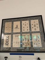 Wide shot showing one of the framed insect scientific illustration pieces with 9 inset sketches of various insect species and body parts on a marbled background matting.