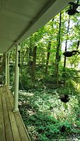 Wide view of three hanging wind chimes along porch with green forest background