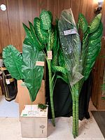 Photo showing four tall artificial Dieffenbachia plants with variegated green leaves and banana leaves in front, alongside boxes.
