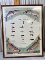 Full view of the framed trout flies fishing poster showing title, trout illustrations, and various trout flies with names.
