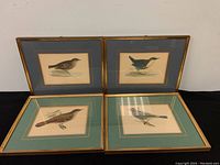 Four framed antique bird etchings arranged on black surface for overview showing frames and art.