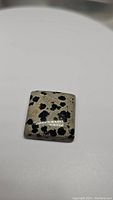 Top down photo of a square natural Dalmatian Jasper cabochon on a white background showing black spots on beige base.
