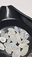 Photo showing multiple marquis cabochon cut rainbow moonstones with visible blue flashes and natural inclusions in a black container.