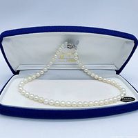Necklace laid in velvet-lined box showing full strand of pearls