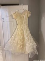 Full view of the vintage wedding dress hanging against a white door, showing overall lace pattern, short sleeves, fitted waist, and flared tulle hem.