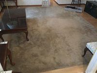 Photo showing the full area rug with visible bound edges placed on a wood floor beneath living room furniture.