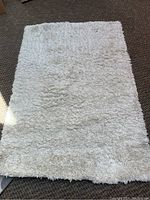 Full view of rectangular cream colored shag area rug on brown carpeted floor with visible natural lighting.