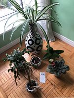 Photo showing assortment of indoor potted plants including spider plant in decorative geometric vase, leafy tropical plants, and small cactus pots on wooden floor by window.
