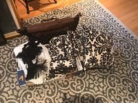 Two decorative pillows with black damask pattern on cream background with throw blanket and packaged bedding