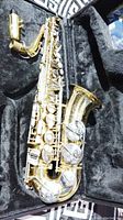 Alto saxophone body and keys inside open case, showing lacquer finish and key layout