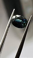 Oval cut natural blue sapphire with deep blue color and green flashes viewed under direct light, held by tweezers