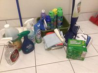 Full lot showing mop handles, cleaning cloths, plastic tub with cleaning sprays and bottles arranged on tiled floor.