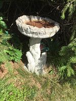 Full view of the bird bath outdoors surrounded by plants showing the bowl and base design.
