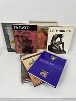 Books arranged in a standing and stacked formation showing covers of Bertrand, Tamayo, and Lehmbruck along with others.