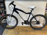 Side profile of the full Schwinn conversion bike showing frame, seat, tires, pedals.